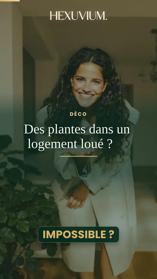 Des plantes dans un logement loué ?